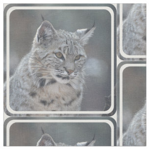 Tissu Chat sauvage extraordinaire