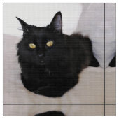 Tissu Chat sur le divan (Fermer)