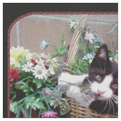 Tissu Chaton dans un panier (Fermer)