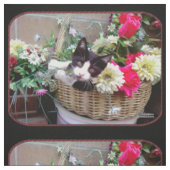 Tissu Chaton dans un panier (Échantillon)