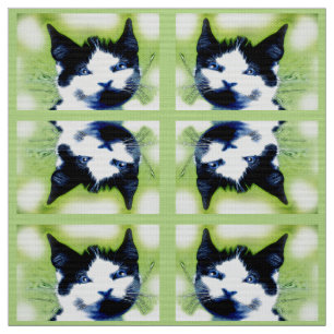 Tissu Chats