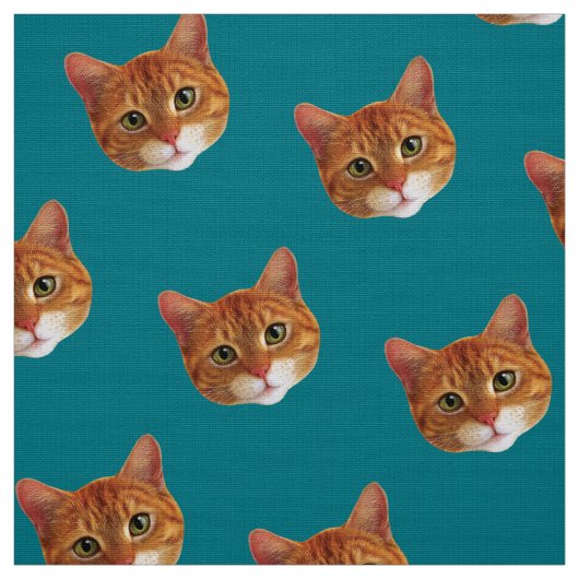 Tissu : Chats de gingembre (Échantillon)