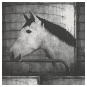Tissu Cheval andalou