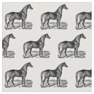Tissu Cheval debout vintage