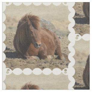 Tissu Cheval islandais mignon