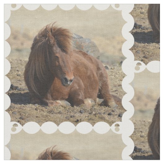 Tissu Cheval islandais mignon (Fermer)