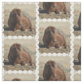Tissu Cheval islandais mignon (Échantillon)