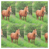 Tissu Chevaux à la campagne (Échantillon)