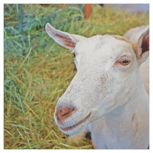 Tissu Chèvre blanche (Échantillon)