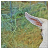 Tissu Chèvre blanche (Détail)