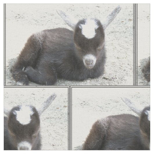 Tissu Chèvre d'enfant (Fermer)