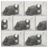 Tissu Chèvre d'enfant (Échantillon)