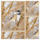Tissu Chickadee au plafond noir - Photo originale (fermé)