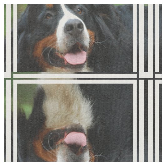 Tissu Chien de montagne de Bernese de bébé (Fermer)