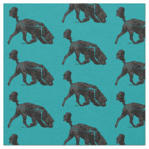 Chien d'eau portugais - Piste / Scent Turquoise 2"