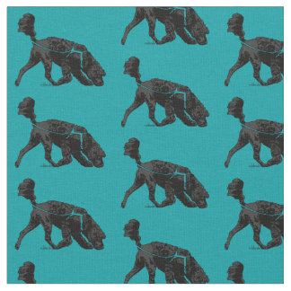 Tissu Chien d'eau portugais - Piste / Scent Turquoise 2"