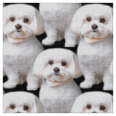 Tissu Chien maltais mignon (Fermer)