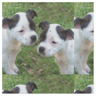 Tissu Chiffre D'État Noir Et Blanc Bull Terrier