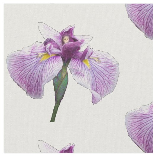 Tissu Chiffre d'iris (Fermer)