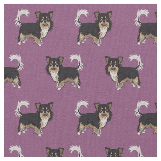 Tissu Chihuahua à poil long tricolore violet (Fermer)