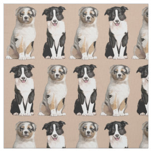 Tissu Chiot australien et border collie de berger