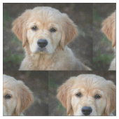 Tissu Chiot Golden Retriever (Fermer)