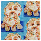 Tissu Chiot "Ollie" de Cavapoo. (Fermer)