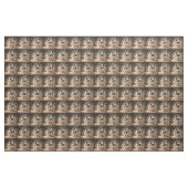 Tissu Chiots Cavalier Spaniel au pop-corn, (Yard)