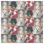 Tissu Chiots de délivrance de Havanese (Fermer)