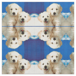 Tissu Chiots de Labrador