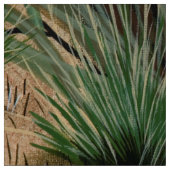Tissu Chipmunk Pine Cone Fabric (Échantillon)