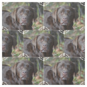 Tissu Chocolat adorable labrador retriever (Échantillon)