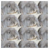 Tissu Chubby Cheeks (Échantillon)