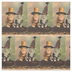 Tissu circa 1900 chats dans des casquettes RPPC
