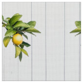 Tissu Citrus (Fermer)
