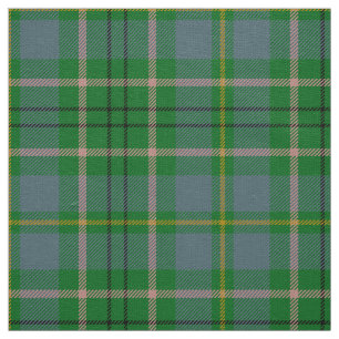 Tissu Clan écossais Taylor Tartan Plaid