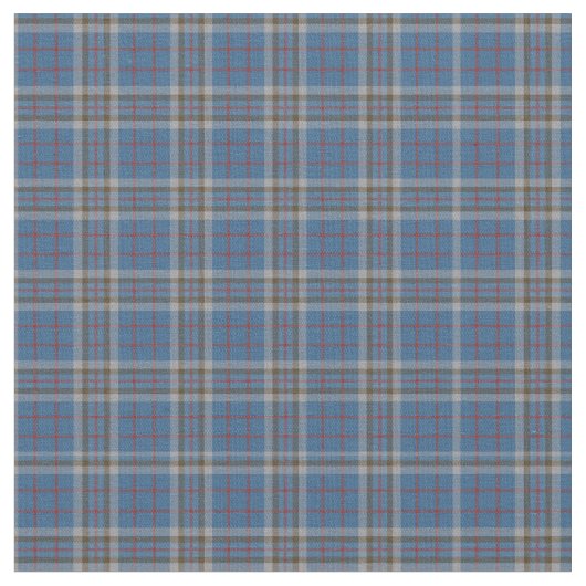 Tissu Clan Plaid Thompson Tartan gris bleu chèque (Fermer)