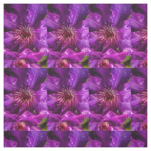 Tissu Clematis Le Président (Échantillon)