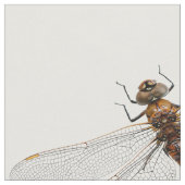 Tissu Closeuse d'une libellule de Darner du Canada (Fermer)