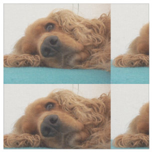 Tissu cocker anglais rouge 2.png