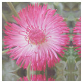 Tissu Cognie (Fermer)