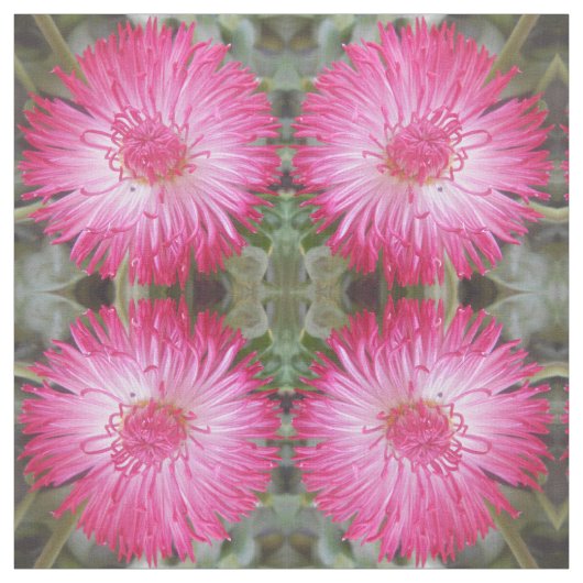 Tissu Cognie (Échantillon)