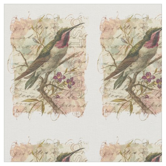 Tissu Collage de cru de colibri (Fermer)