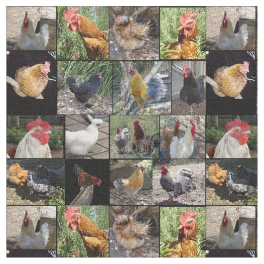 Tissu Collage De Photos De Poulets Et De Coqs, (Fermer)