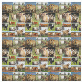 Tissu Collage de photos de vache, (Échantillon)