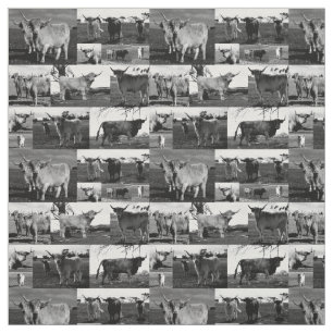 Tissu Collage de photos de vaches des Highlands en noir 