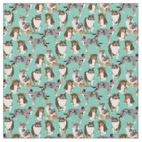 Collage des chiens bergers australiens australiens