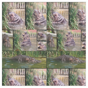Tissu Collage photo de la détermination de l'hippopotam