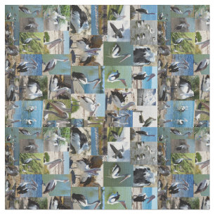 Tissu Collage photo de Pélican,