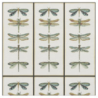 Collection de libellules par Chariklia Zarris